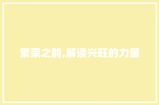 繁荣之韵,解读兴旺的力量