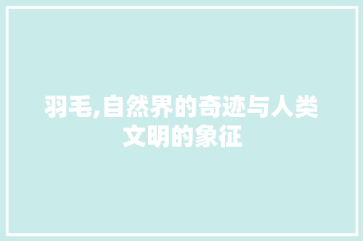 羽毛,自然界的奇迹与人类文明的象征