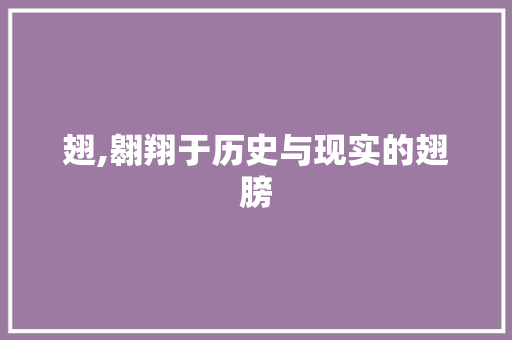 翅,翱翔于历史与现实的翅膀