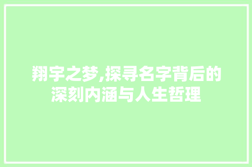 翔宇之梦,探寻名字背后的深刻内涵与人生哲理