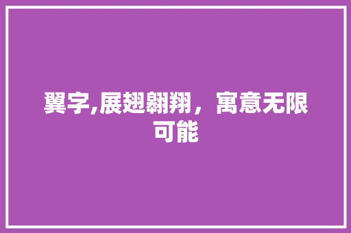 翼字,展翅翱翔，寓意无限可能