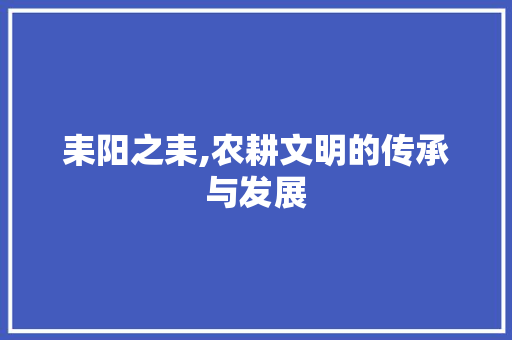 耒阳之耒,农耕文明的传承与发展
