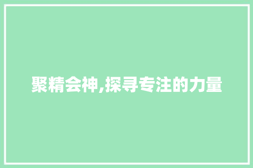 聚精会神,探寻专注的力量