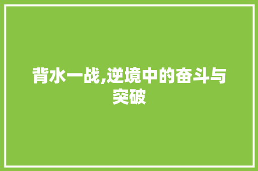 背水一战,逆境中的奋斗与突破