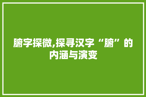 腑字探微,探寻汉字“腑”的内涵与演变