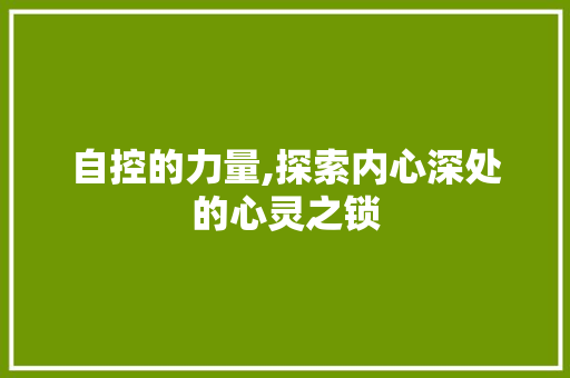 自控的力量,探索内心深处的心灵之锁