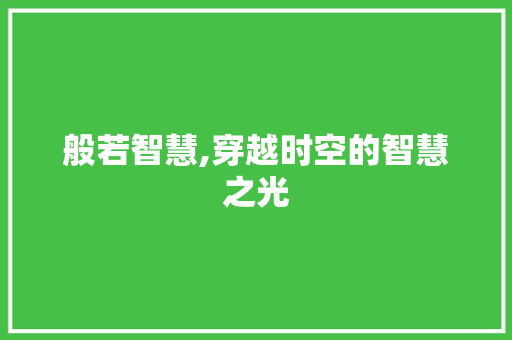 般若智慧,穿越时空的智慧之光