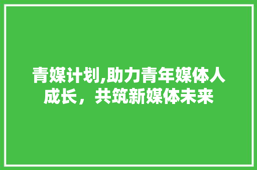 青媒计划,助力青年媒体人成长，共筑新媒体未来
