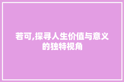 若可,探寻人生价值与意义的独特视角