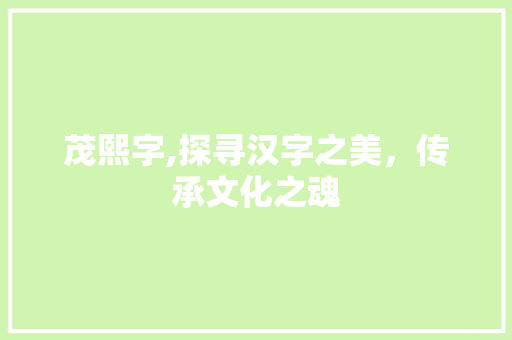 茂熙字,探寻汉字之美，传承文化之魂