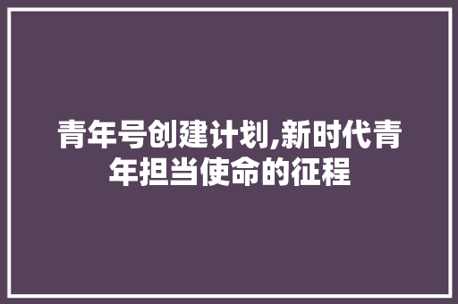 青年号创建计划,新时代青年担当使命的征程