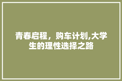 青春启程，购车计划,大学生的理性选择之路