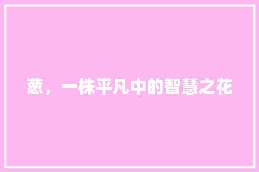 葱，一株平凡中的智慧之花 工作总结