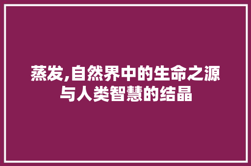 蒸发,自然界中的生命之源与人类智慧的结晶