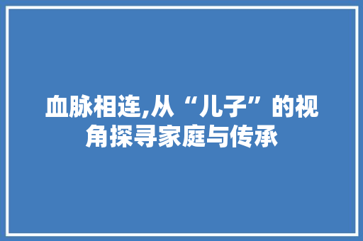 血脉相连,从“儿子”的视角探寻家庭与传承
