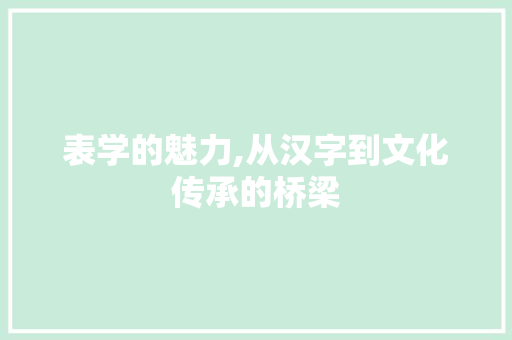 表学的魅力,从汉字到文化传承的桥梁