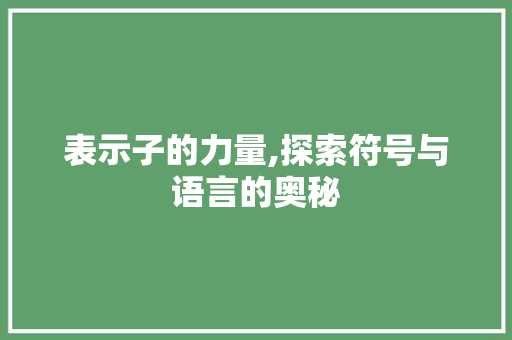 表示子的力量,探索符号与语言的奥秘