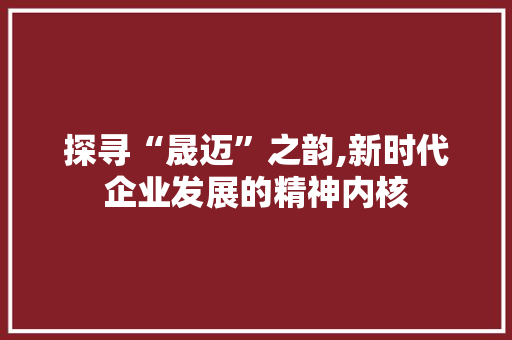 探寻“晟迈”之韵,新时代企业发展的精神内核