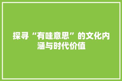 探寻“有哇意思”的文化内涵与时代价值