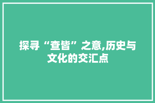 探寻“查皆”之意,历史与文化的交汇点 采访稿