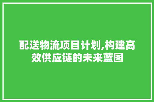 配送物流项目计划,构建高效供应链的未来蓝图