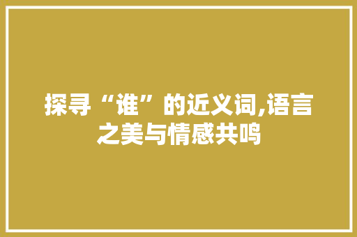 探寻“谁”的近义词,语言之美与情感共鸣