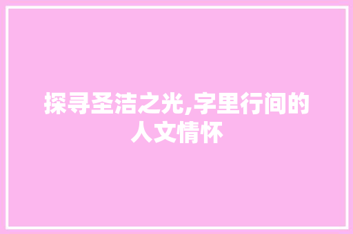 探寻圣洁之光,字里行间的人文情怀