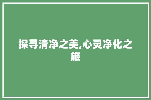 探寻清净之美,心灵净化之旅