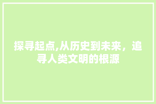 探寻起点,从历史到未来，追寻人类文明的根源