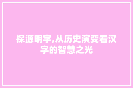 探源明字,从历史演变看汉字的智慧之光