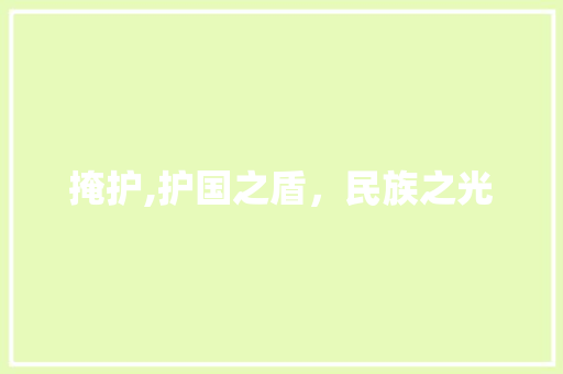 掩护,护国之盾，民族之光 工作报告