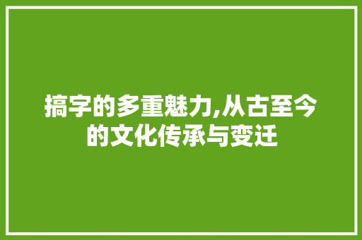 搞字的多重魅力,从古至今的文化传承与变迁 工作总结