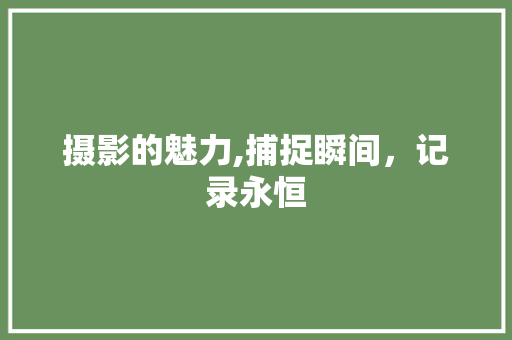 摄影的魅力,捕捉瞬间，记录永恒