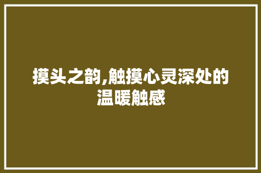 摸头之韵,触摸心灵深处的温暖触感