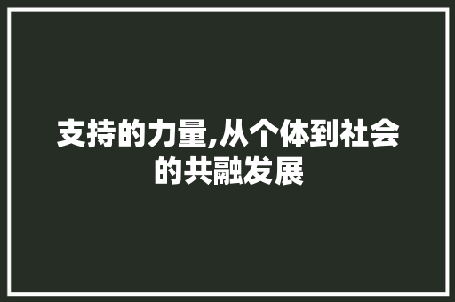 支持的力量,从个体到社会的共融发展