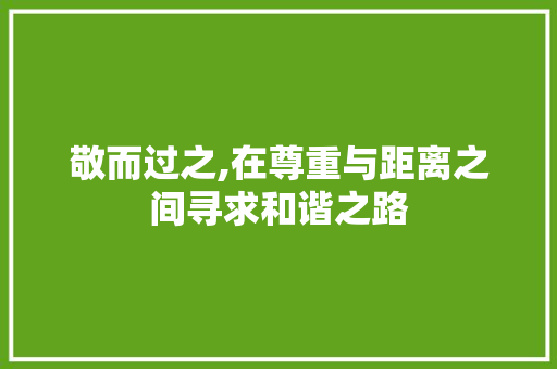 敬而过之,在尊重与距离之间寻求和谐之路 生活感悟
