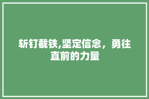 斩钉截铁,坚定信念，勇往直前的力量