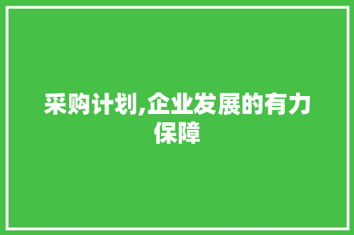 采购计划,企业发展的有力保障