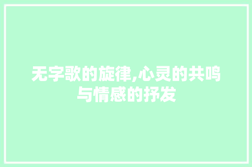 无字歌的旋律,心灵的共鸣与情感的抒发