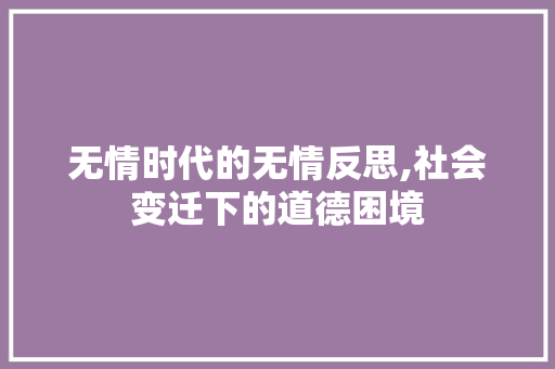无情时代的无情反思,社会变迁下的道德困境