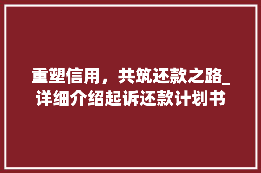 重塑信用，共筑还款之路_详细介绍起诉还款计划书