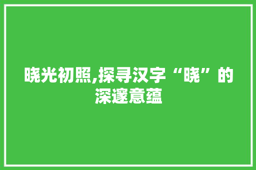 晓光初照,探寻汉字“晓”的深邃意蕴 特写稿