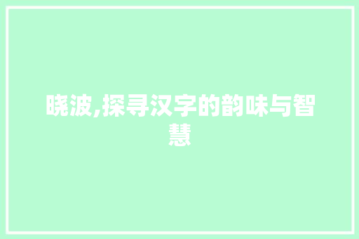晓波,探寻汉字的韵味与智慧