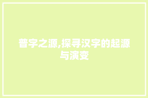 普字之源,探寻汉字的起源与演变