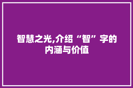 智慧之光,介绍“智”字的内涵与价值