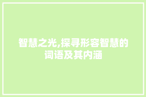 智慧之光,探寻形容智慧的词语及其内涵
