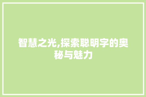 智慧之光,探索聪明字的奥秘与魅力