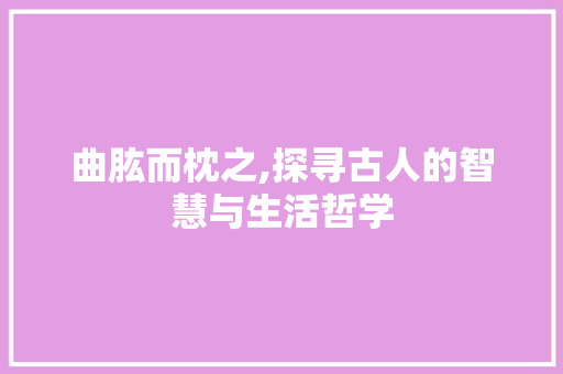 曲肱而枕之,探寻古人的智慧与生活哲学