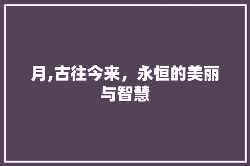 月,古往今来，永恒的美丽与智慧