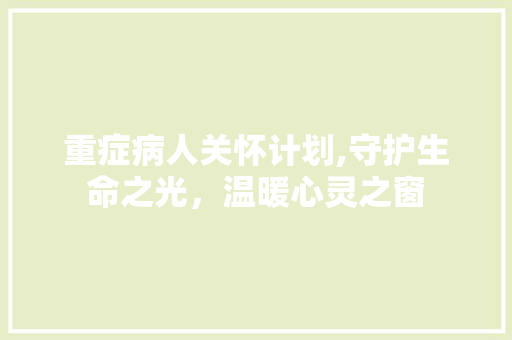 重症病人关怀计划,守护生命之光，温暖心灵之窗